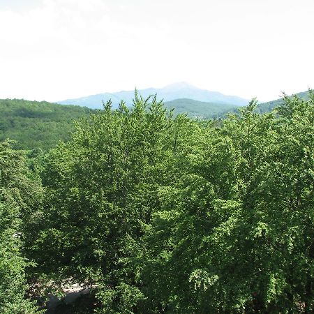 Apartment Vito Plitvička Jezera Dış mekan fotoğraf